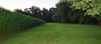 Pine Song Retreat - Pine Song Retreat