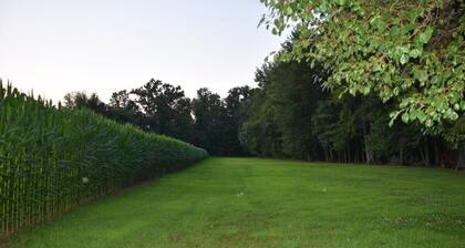 Pine Song Retreat - Pine Song Retreat