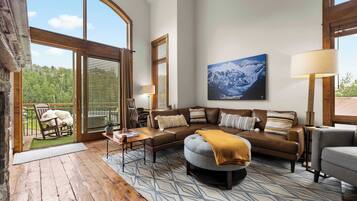 Télévision, cheminée, espaces bureaux