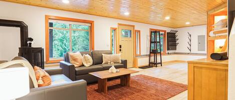 Smart TV, fireplace, books