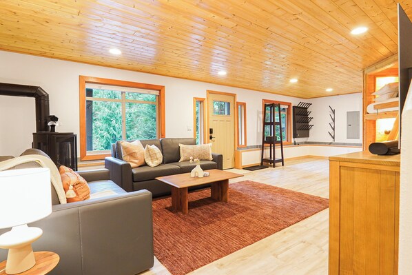 Smart TV, fireplace, books