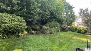 A well-maintained grassy yard with a black dog, surrounded by dense foliage and a house in the background.