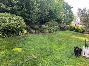 Property grounds - Charming 1-bedroom apartment in fabulous Arlington with AC (Arlington)