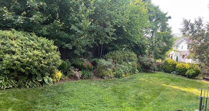 Charming 1-bedroom apartment in fabulous Arlington with AC