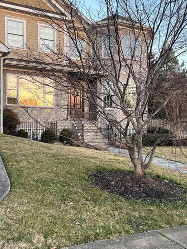 Charming 1-bedroom apartment in fabulous Arlington with AC