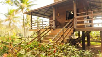 Premium Tree House