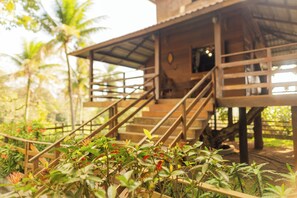 Premium Tree House