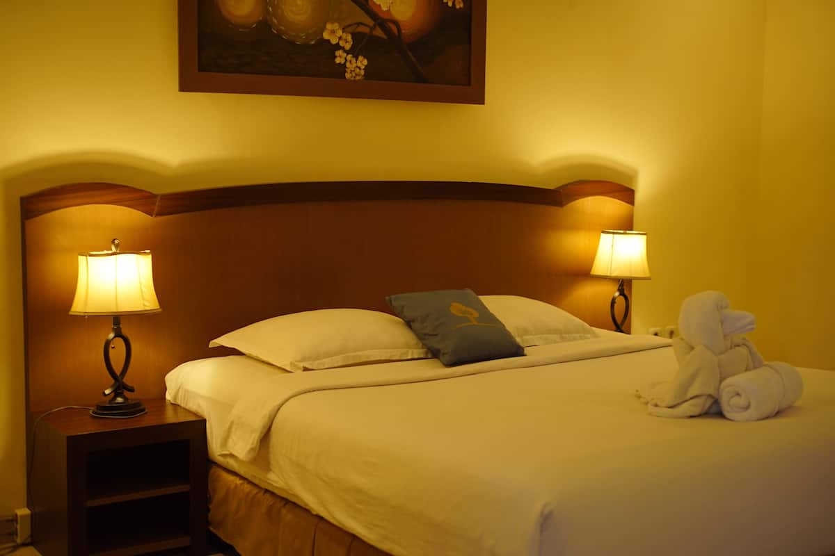 Habitació doble o amb dos llits individuals Deluxe | Escriptori i wifi gratuïta