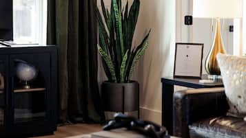 TV connectée, cheminée, livres, médiathèque