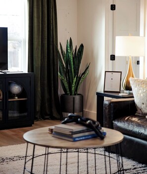 TV connectée, cheminée, livres, médiathèque