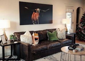 Smart TV, fireplace, books, music library