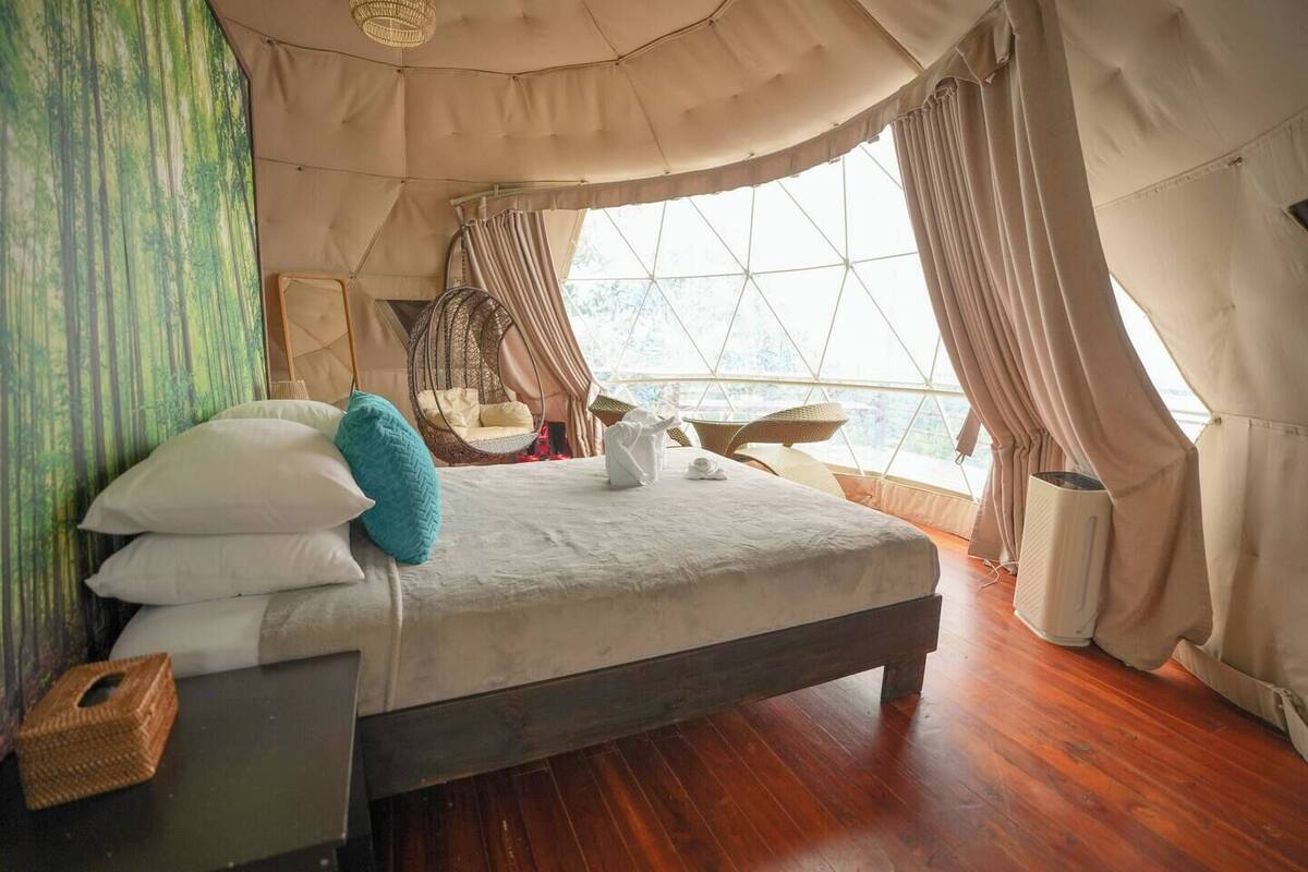 A spacious room with a large bed, a hanging chair, and a view through a large window.