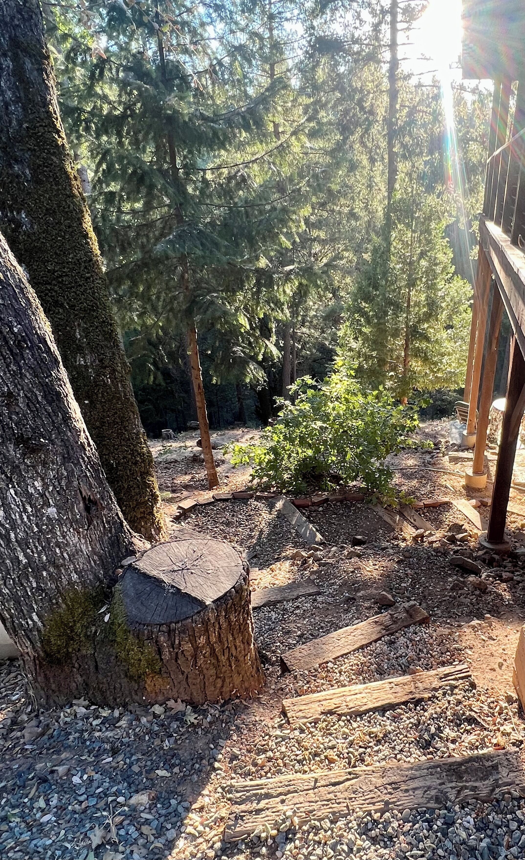 Àrea exterior de l'allotjament