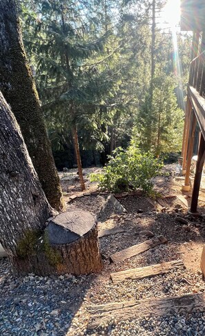 Overnattingsstedets uteområder