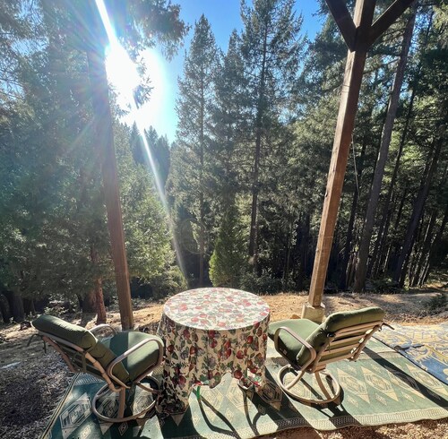 Peaceful Pines in Secluded Hideaway