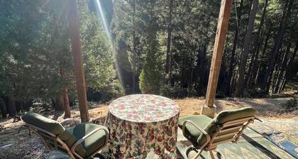 Peaceful Pines in Secluded Hideaway
