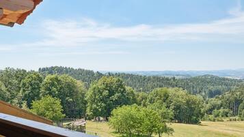 Blick vom Balkon auf eine bewaldete Landschaft mit einem entfernten Gebirgszug.