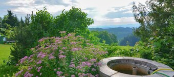 Quiet holiday apartment in the Bavarian Forest