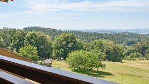A view from a balcony overlooking a forested landscape with a small cabin visible in the distance. - Quiet holiday apartment in the Bavarian Forest (Waldkirchen)