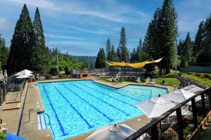 A swimming pool with clear blue water, surrounded by trees and shaded areas. - A-Frame Cabin • BBQ • Sauna • Hot Tub • Projector • Fire Pit (Arnold)