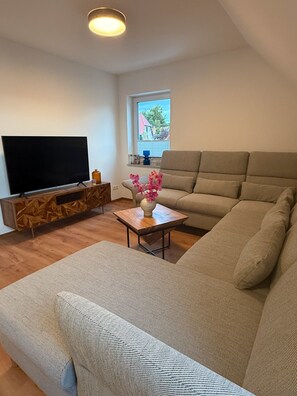 Fernseher