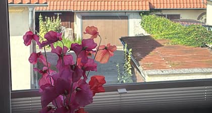 Große Ferienwohnung mit Seeblick, gemeinsamer Terrasse und Wlan