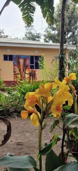 المنطقة المحيطة بالمنشأة