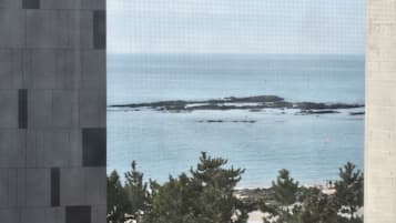 Vista costera con formaciones rocosas y una playa arenosa, enmarcada por árboles.