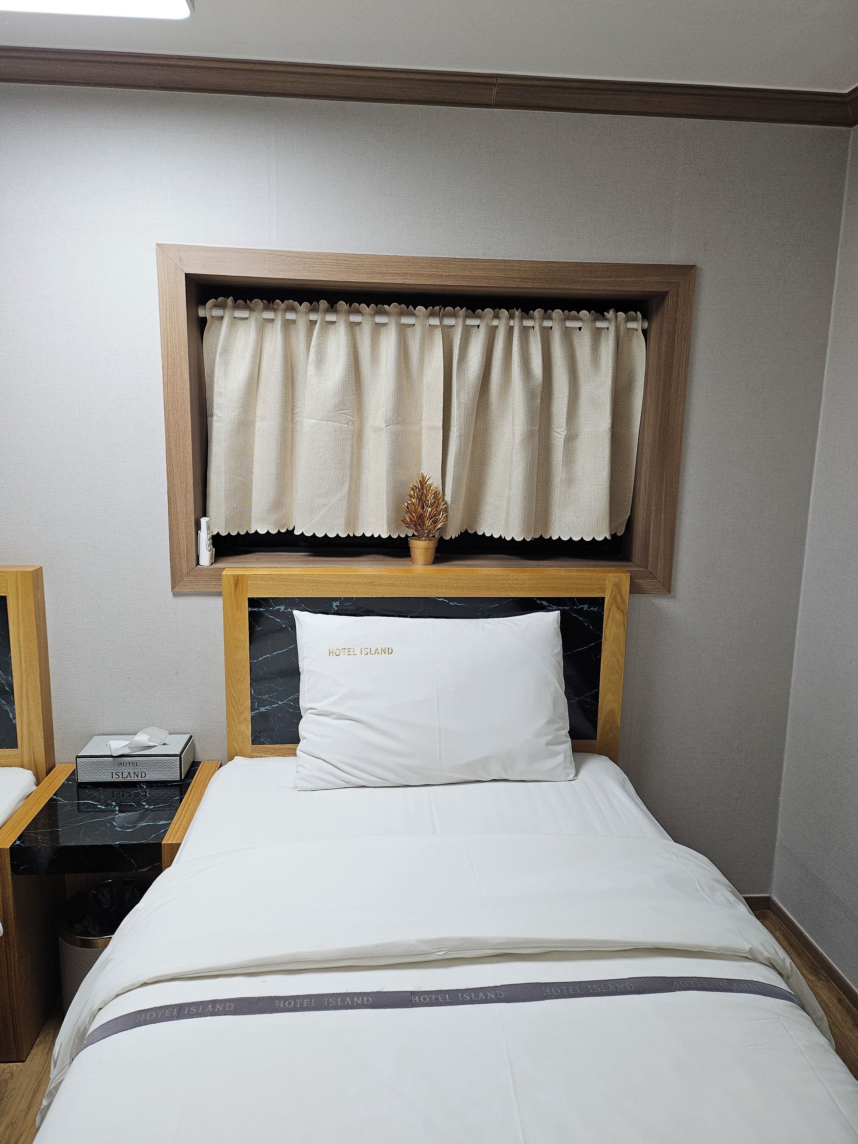 Una habitación de hotel con cama, mesita de noche, ventana con cortinas y una pequeña planta en maceta.