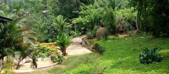 A forest stay, one sip at a time! Warm hospitality in a calm and serene setting.