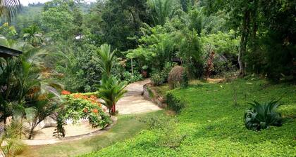 A forest stay, one sip at a time! Warm hospitality in a calm and serene setting.