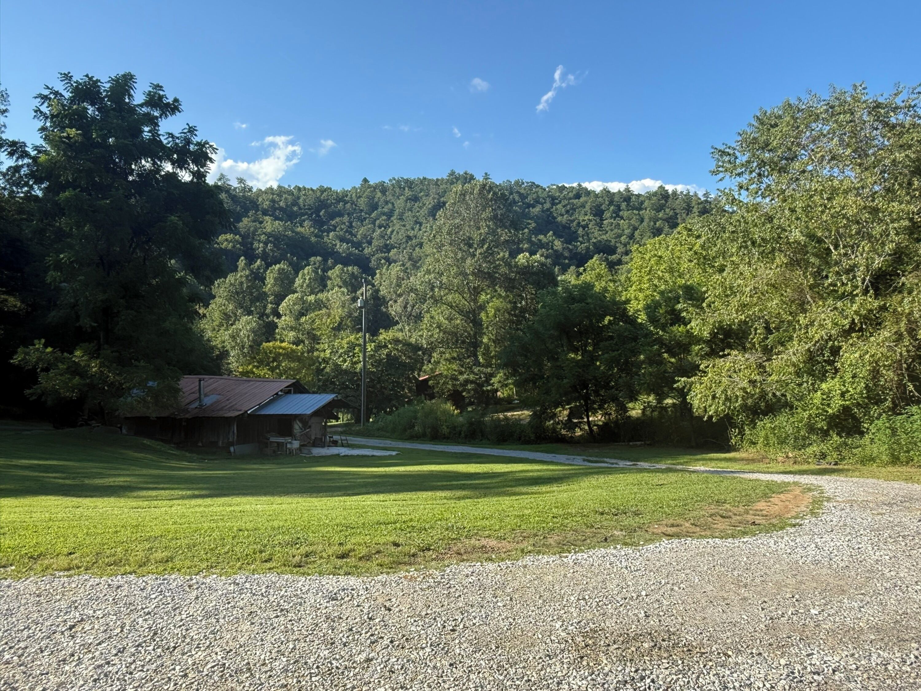 A gravel driveway leading to a rustic cabin with a metal roof, surrounded by lush green grass and dense forest.