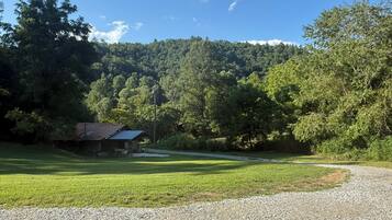 A gravel driveway leading to a rustic cabin with a metal roof, surrounded by lush green grass and dense forest.