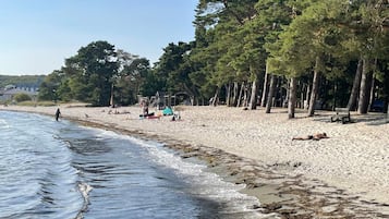 A beach with sand, trees, and a few people.