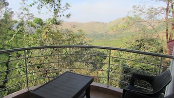 Deluxe Twin Room | Terrace/patio