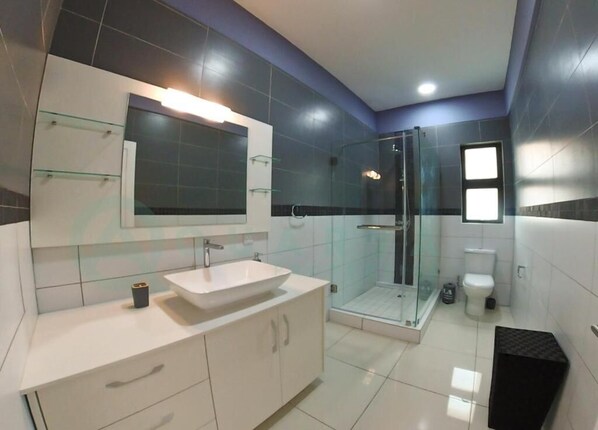 A modern bathroom with a glass shower enclosure, a white sink, and a toilet.