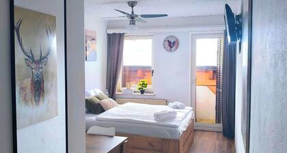 Enjoyable 1-bedroom bed & breakfast in Kranj