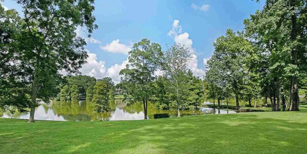 Een verzorgd gazon met bomen en een rustig waterlichaam, waarschijnlijk een park of tuin.