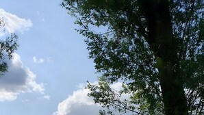 海灘