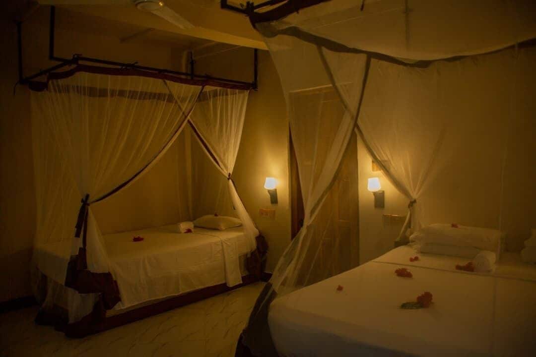 A dimly lit room with two beds, each covered with white sheets and a canopy.