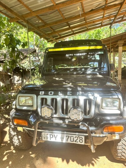 Elephant Safari from Sigiriya