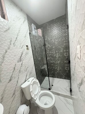 Shower, hair dryer, soap, toilet paper