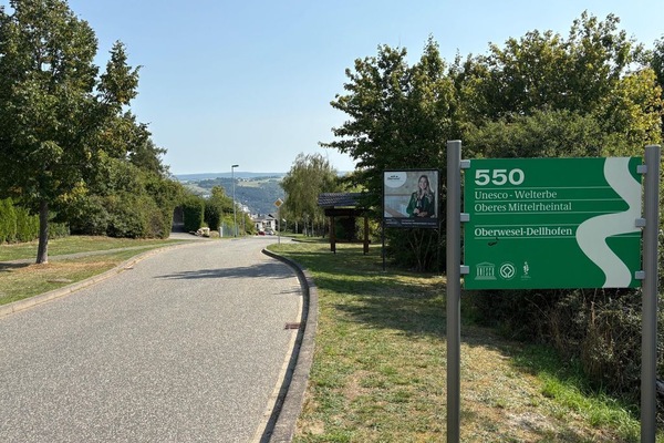 Ferienwohnung "Mittelrhein-550"