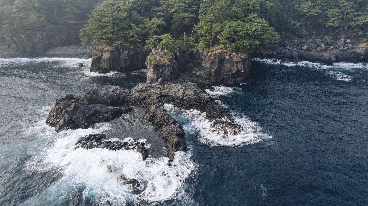 Un paisaje costero con formaciones rocosas y un bosque denso.
