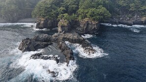 Un paisaje costero con formaciones rocosas y un bosque denso.