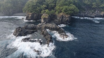 A coastal landscape with rocky formations and dense forest.