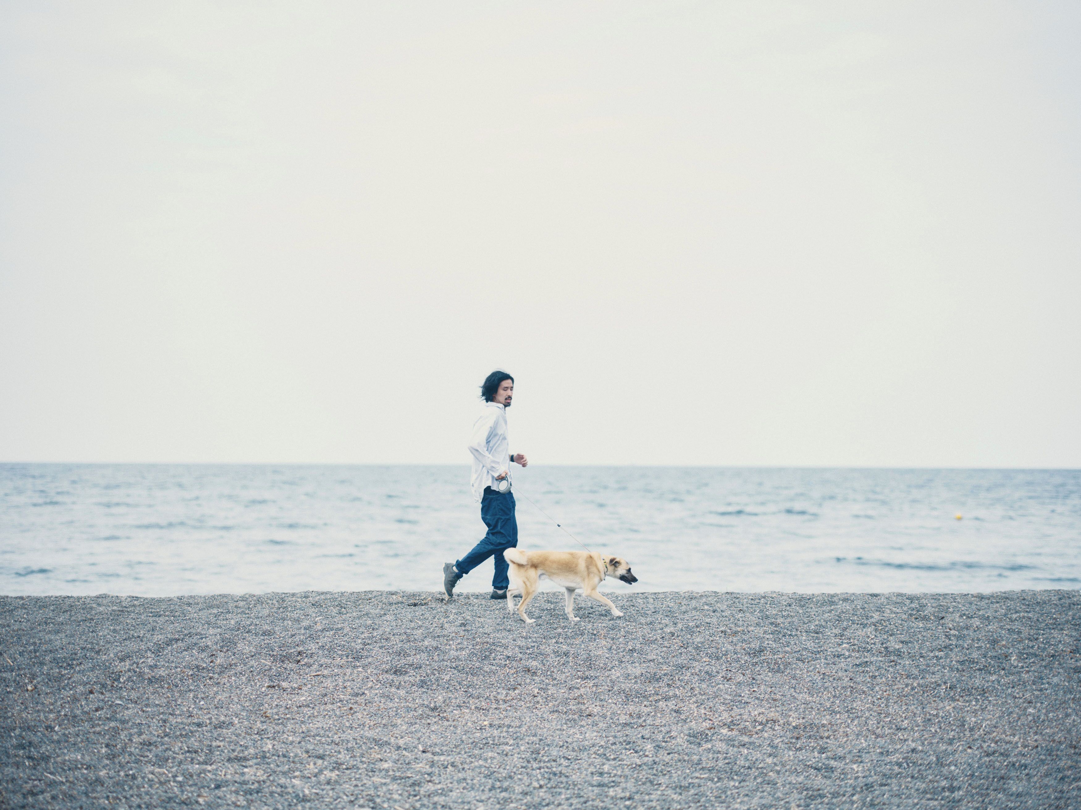 A person walking a dog on a pebbled beach with the ocean in the background.