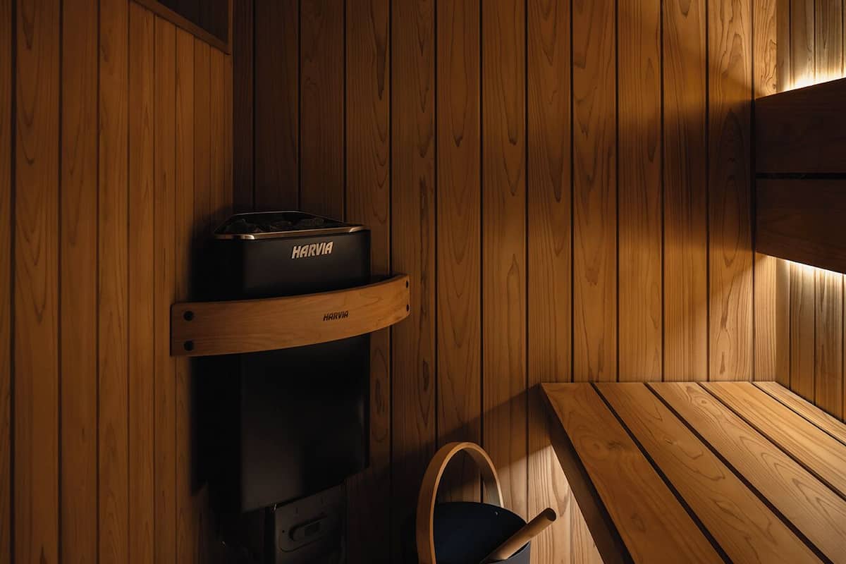 Hair dryer, towels, shampoo, toilet paper