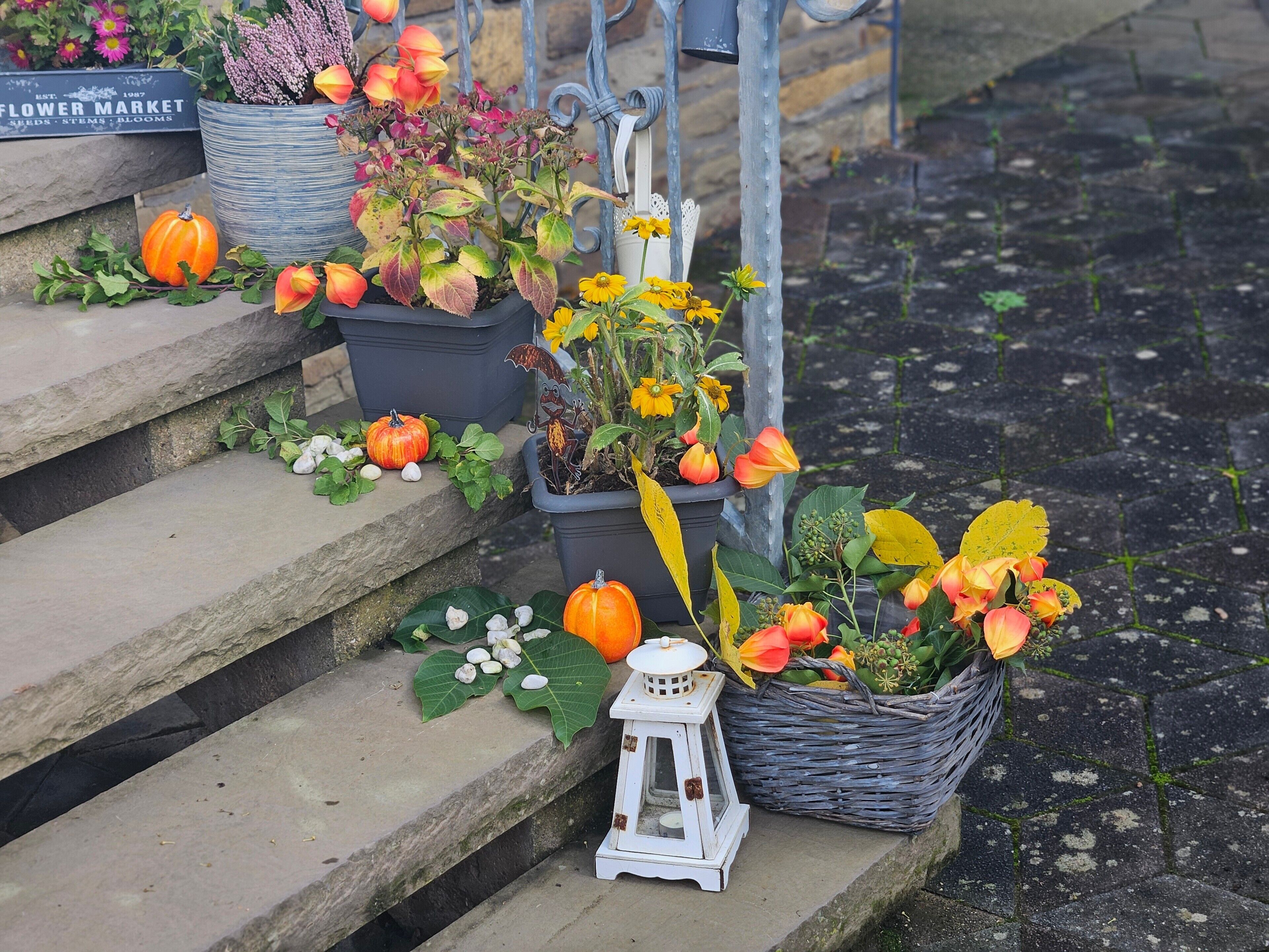 Een bloemenstal met diverse potplanten en bloemen op de treden.