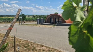 A vineyard with a red-roofed building, a road, and a fence. - Gîte L'EDELGREEN 3* for 2 people (Dieffenthal)